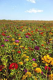 《死亡岛2》免费更新“邻里守望”10月22日上线 终极版同步发售